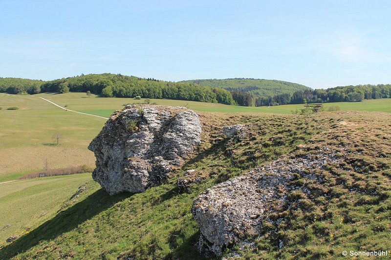 Naturdenkmal Kalkfels am Klimaweg Sonnenalb