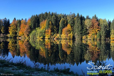 Waldspiegelung am Ebnisee, Schwäb. Wald