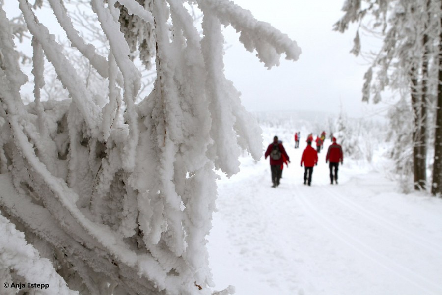 Winter im Sauerland bei Willingen, Upländer Winterwandertage