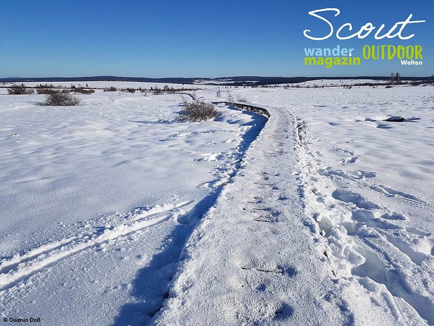 Wintertour im Hohen Venn, Hochmoor von Scout Gudrun