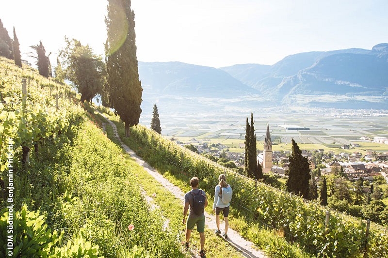 GewürzTRAMINER Weg in Südtirol