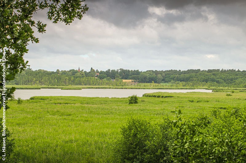 Blick auf das Rambower Moor, Brandenburg