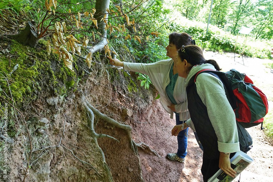Zwei Frauen auf Tuchfühlung mit dem Felsgestein