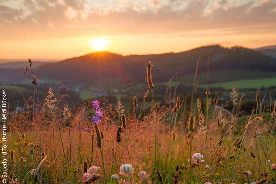 Drei Fernwanderwege im Sauerland