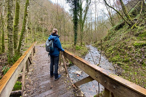 Auf dem Saar-Hunsrück-Steig durch das Steinbachtal, Orscholz