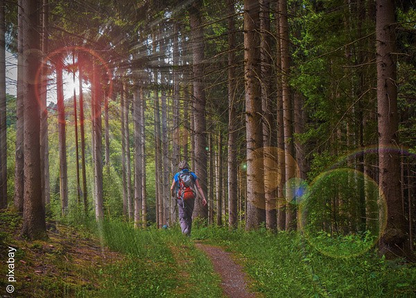 Anzeige, Aktiv und motiviert unterwegs - PADMA Tibetische Kräutermischung