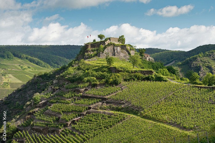 Blick auf Weinberg im Ahrtal