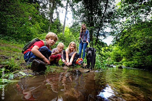 Kinder an einem Bach im Wald