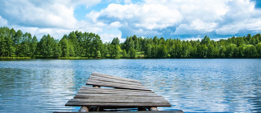 Steg am See