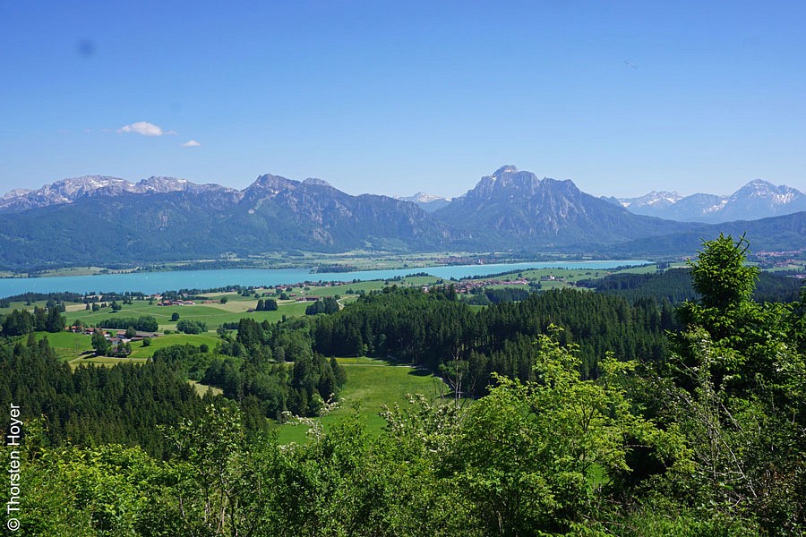 Logenplatz-Route: Blick auf den Forggensee