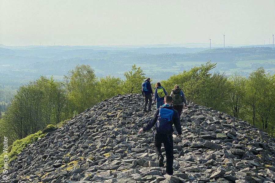 Auf dem keltischen Ringwall bei Nonnweiler