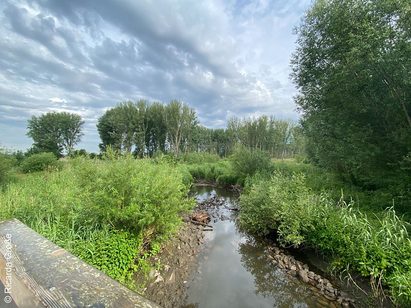 Altrhein Urdenbacher Kämpe, Monheim am Rhein