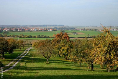 Streuobstwiesen