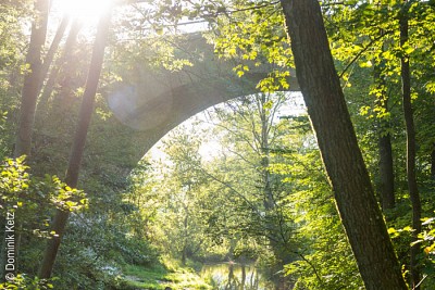 Alte Eisenbahnbrücke über dem WesterwaldSteig