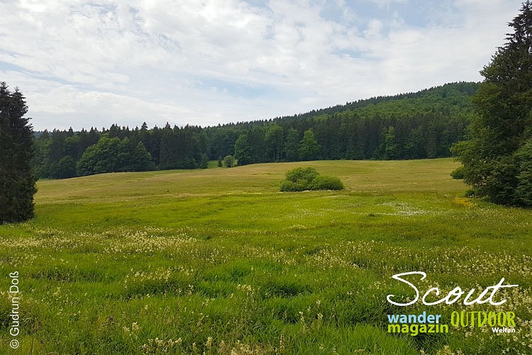 Thüringer Wald, Vessertal