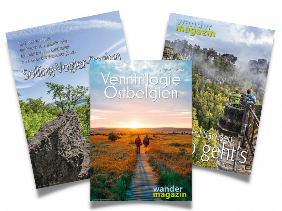 ePaper Galerie