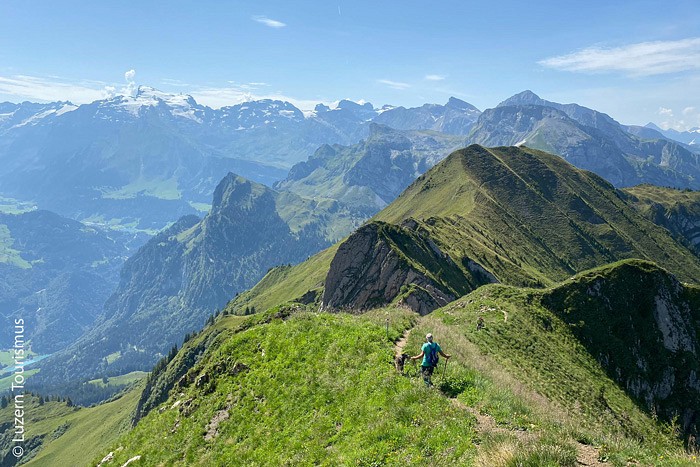 Aussicht vom Tell-Trail in Luzern