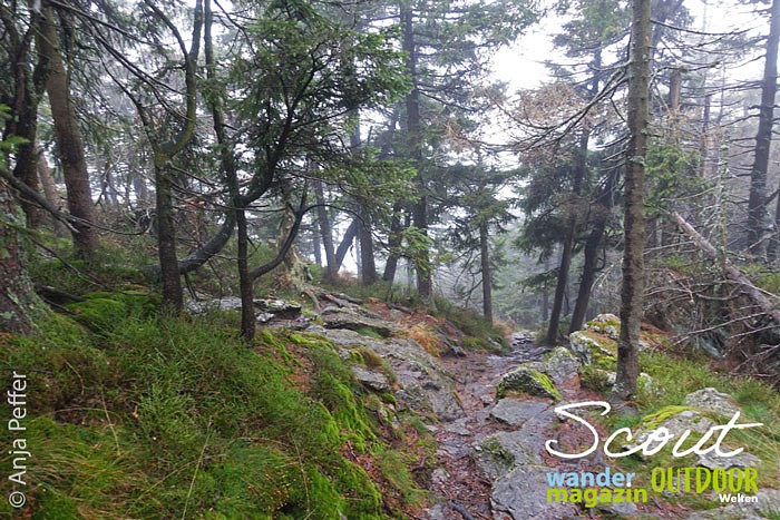 Osser-Riesen-Steig, Bayerischer Wald