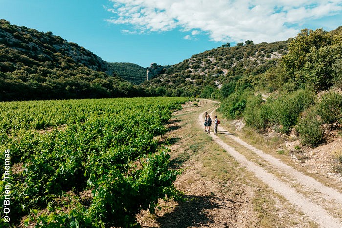 Vaucluse en Provence