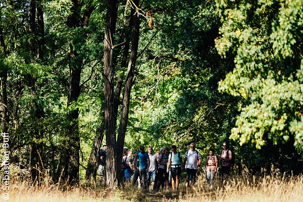 Eine Wandergruppe im Wald