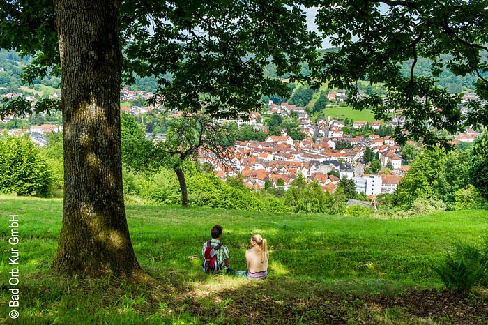 Zwei Menschen sitzen unter einem Baum auf einer Wiese