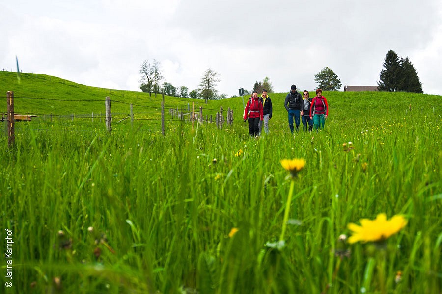 Auf der Wiesengänger-Route im Allgäu
