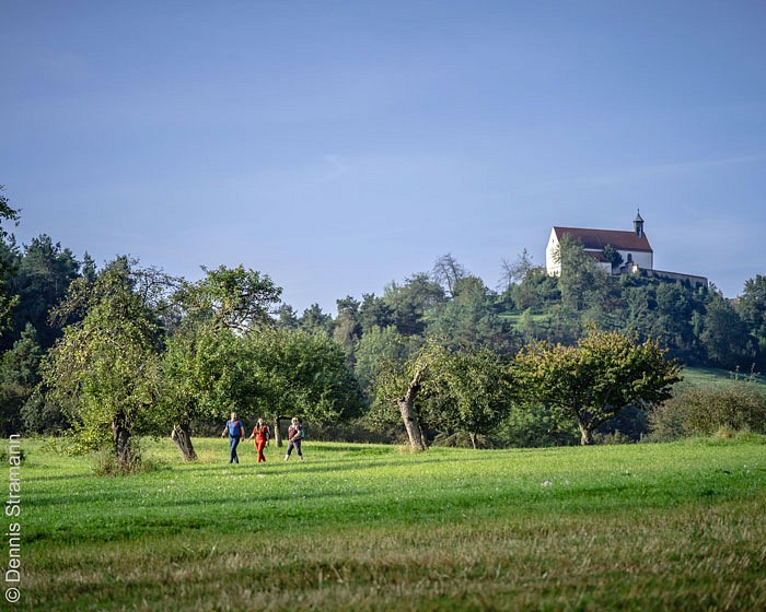 Wandern auf dem Früchtetrauf bei Tübingen