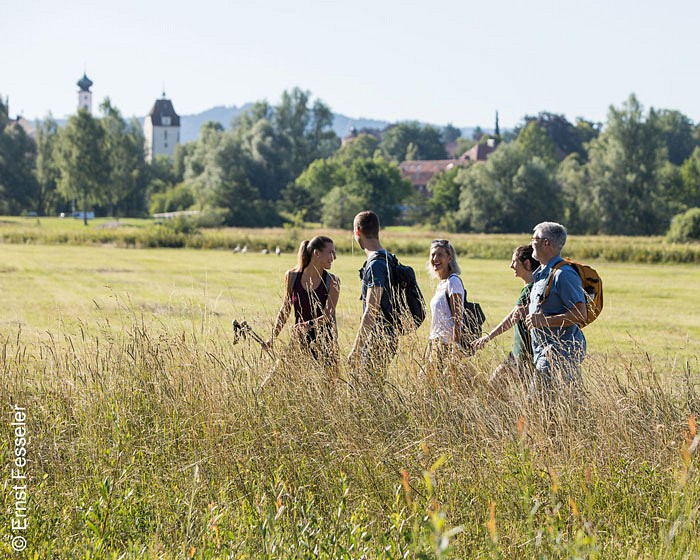 Fünf Personen wandern durch eine Wiesenlandschaft