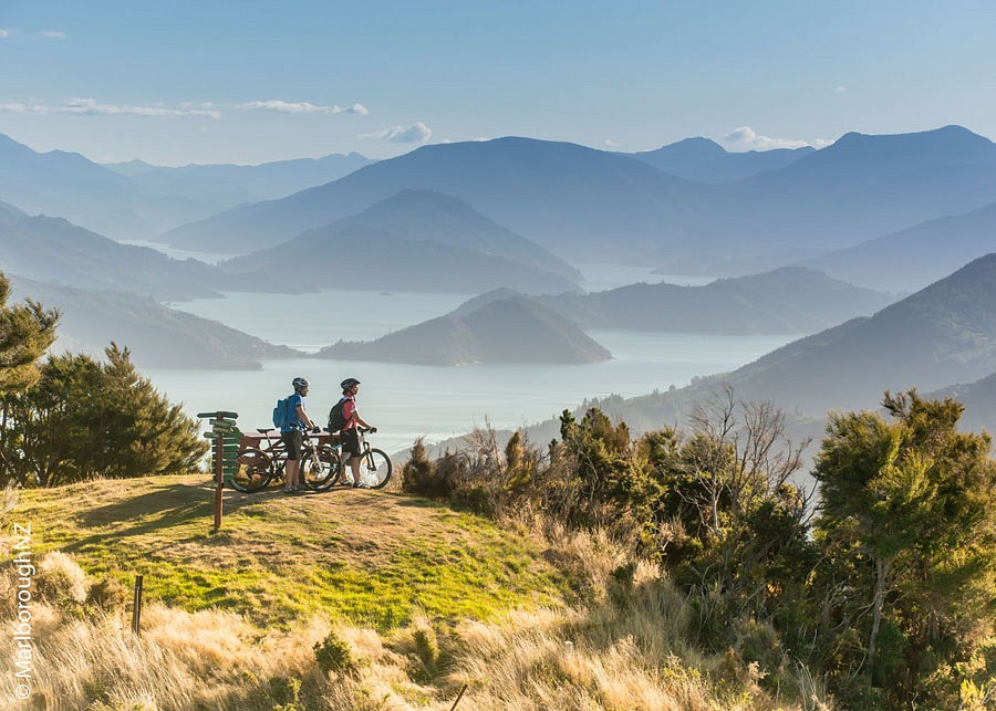 Blick auf Marlborough Sounds, Neuseeland