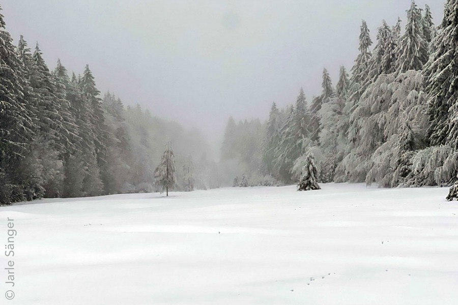 Tourentipps aus dem Oberpfälzer Wald 