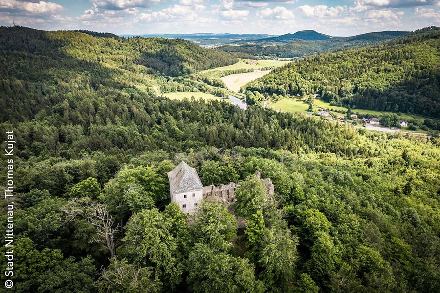 Blick von oben auf eine im Wald stehende Burgruine