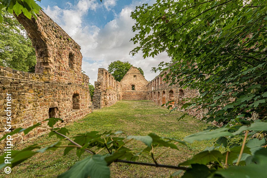 Klosterruine Nimbschen im Wald