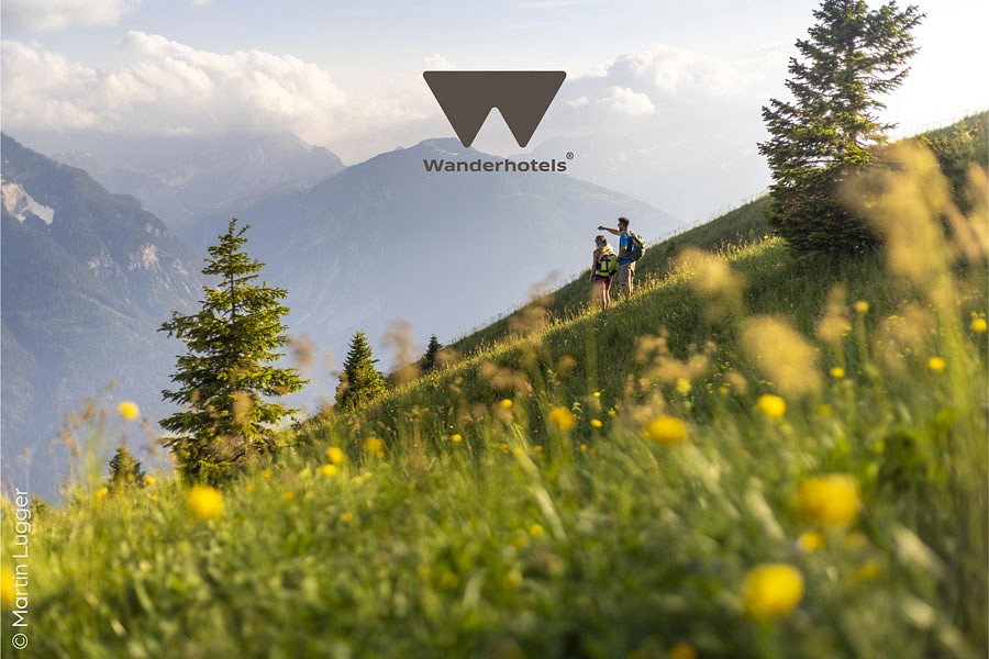 Zwei Wandernde auf einem blühenden Wiesenhang