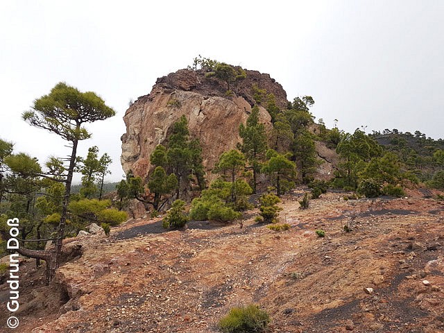 Wandertipp Vulkan Tajuya, La Palma