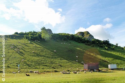 Ein grüner Hügel mit Schafstall und Schafen