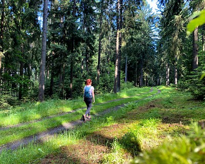 Wandermoment vom Kammweg