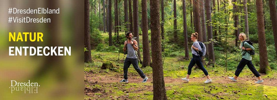 Drei Wandernde laufen durch den Wald. 