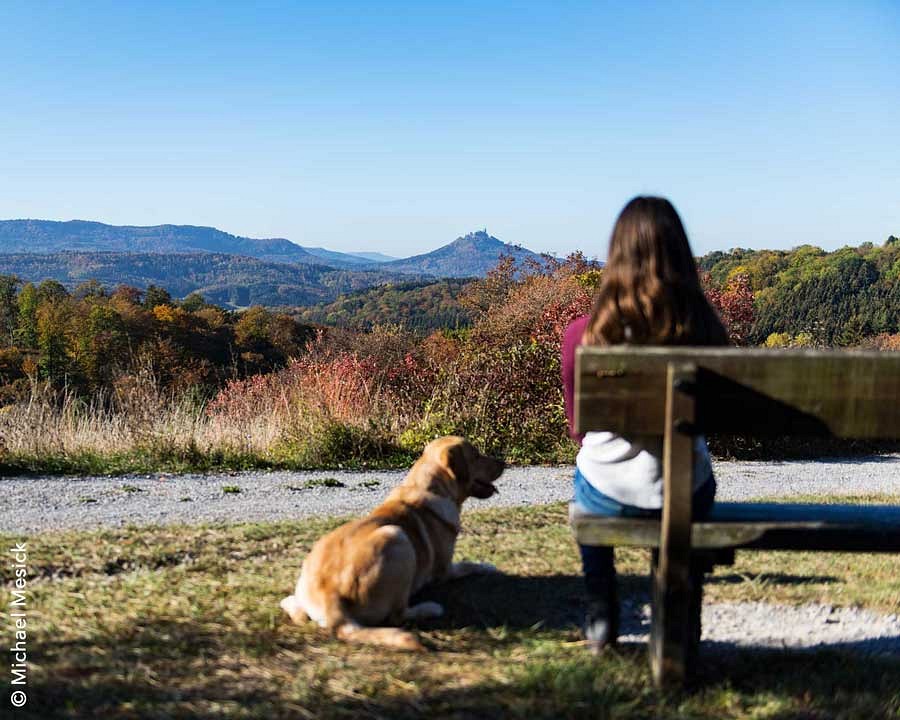 Junge Frau sitzt auf einer Bank und blickt auf eine hügellige, herbstlich gefärbte Landschaft, neben ihr liegt ein Golden Retriever