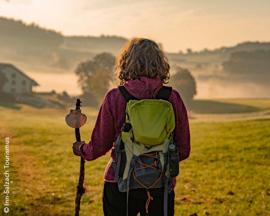 Person mit Jakobspilgerstab und Rucksack blickt auf eine vor ihr liegende hügelige Landschaft im Nebel