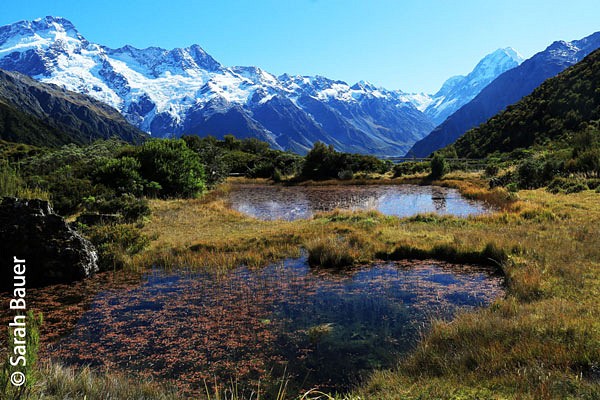 Berglandschaft in Neuseeland