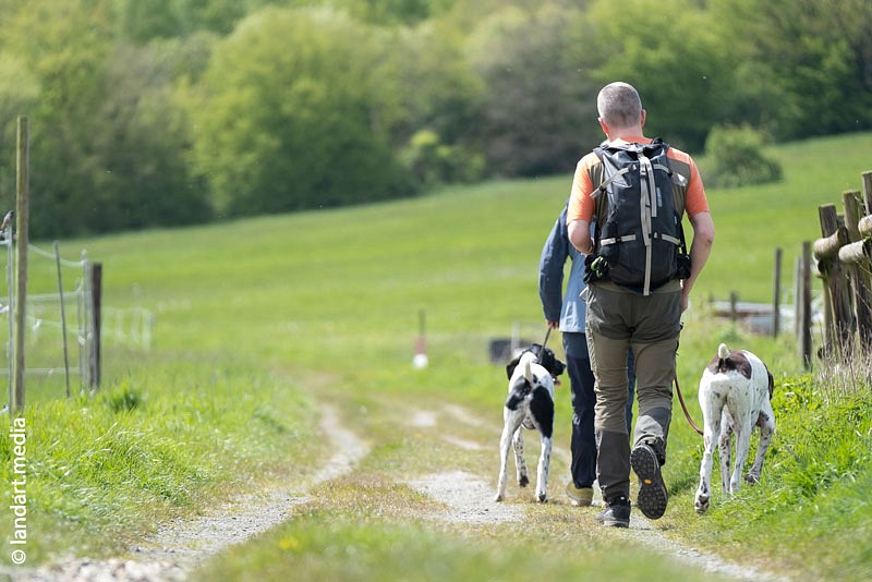 Wolfshotel im Harz, Urlaub mit Hund