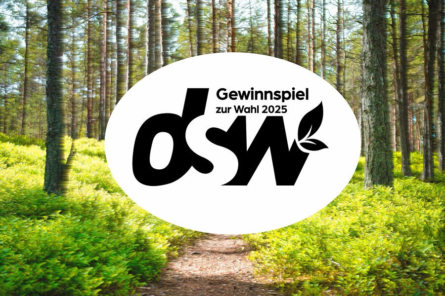 Gewinnspiel DSW-Wahl 2025