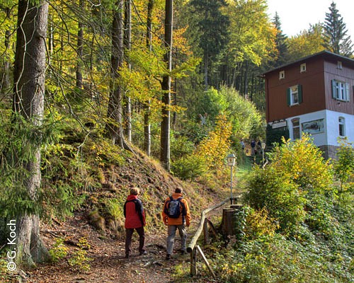 Wandern auf dem Harzer Baudensteig