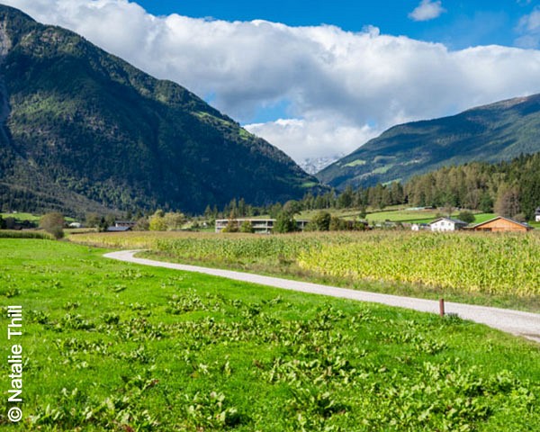 Blick ins Ahrntal, Südtirol