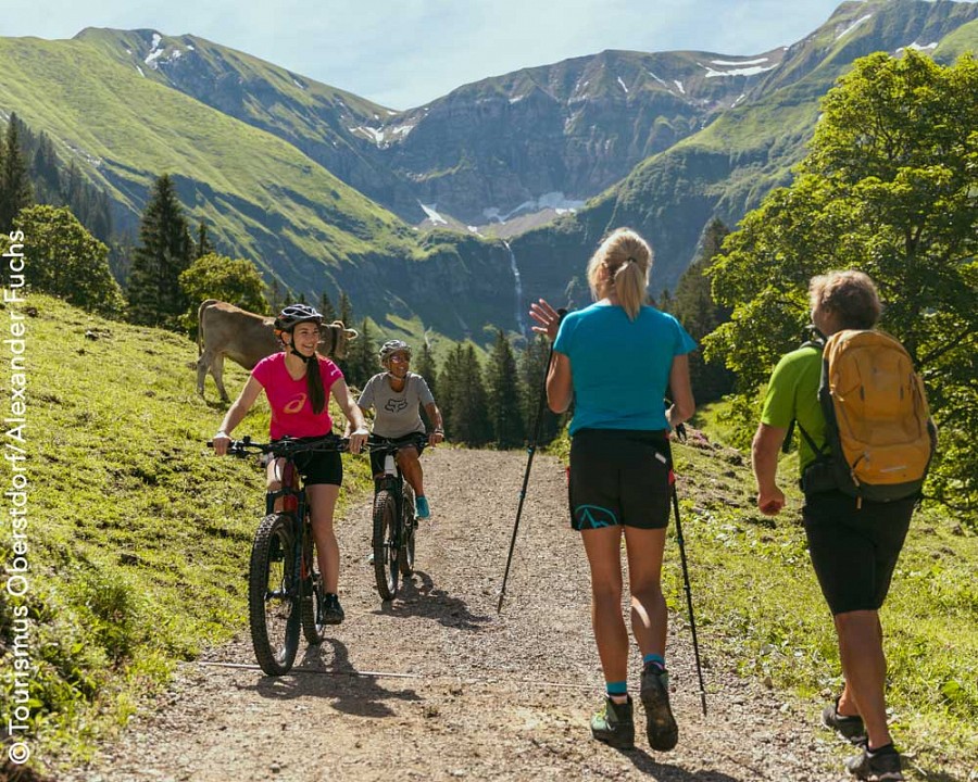 Zwei Radfahrende und zwei Wandernde treffen sich auf einem Weg in den Bergen. 