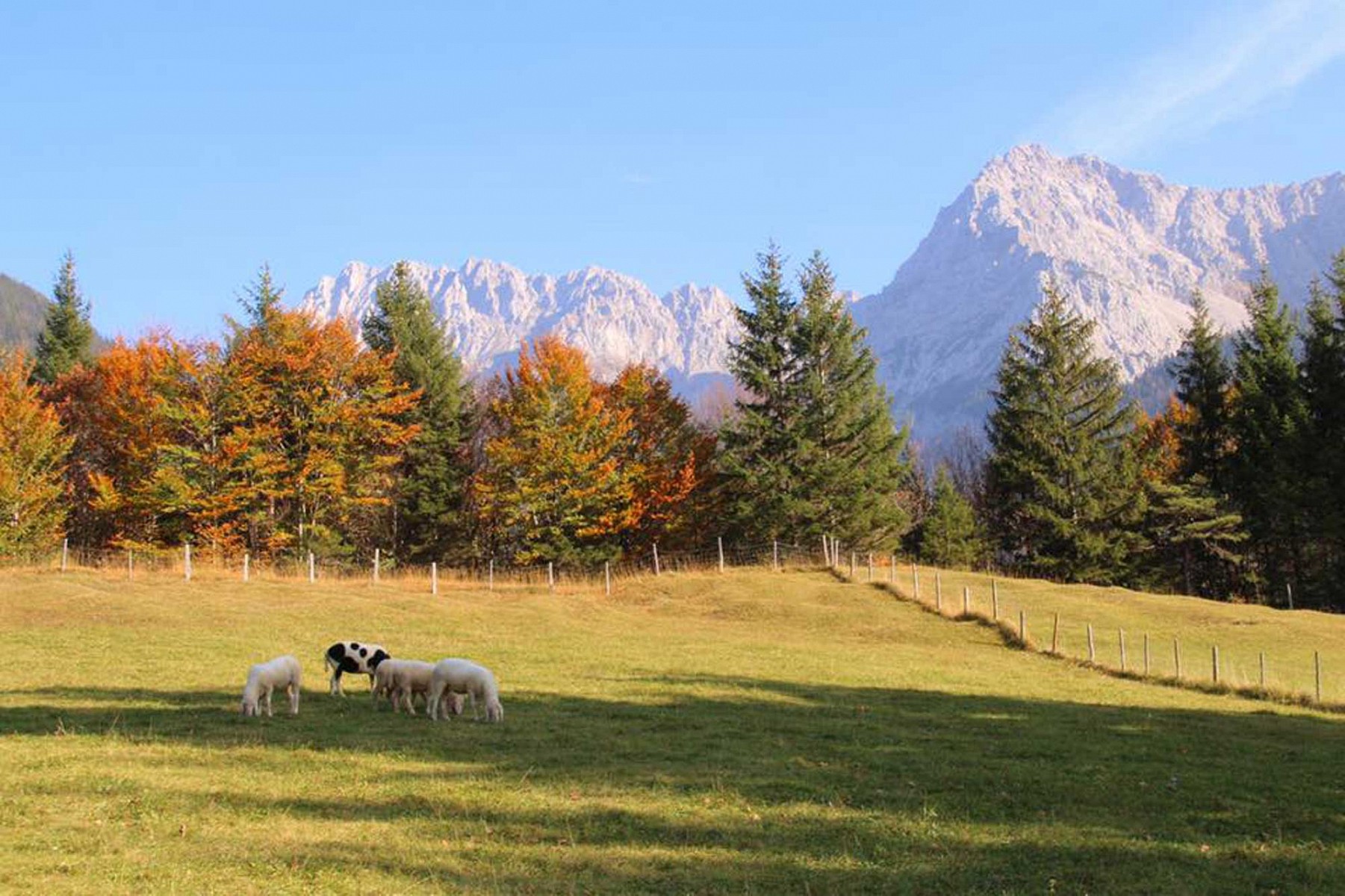 pspan-stylefont-familyGeorgiaserifDieses-idyllische-Bild-zeigt-uns-den-Herbst-in-Garmisch-Partenkirchen-vor-einer-traumhaften-Bergkulisse---fotografiert-von-Stefanie-Jaklinspanp