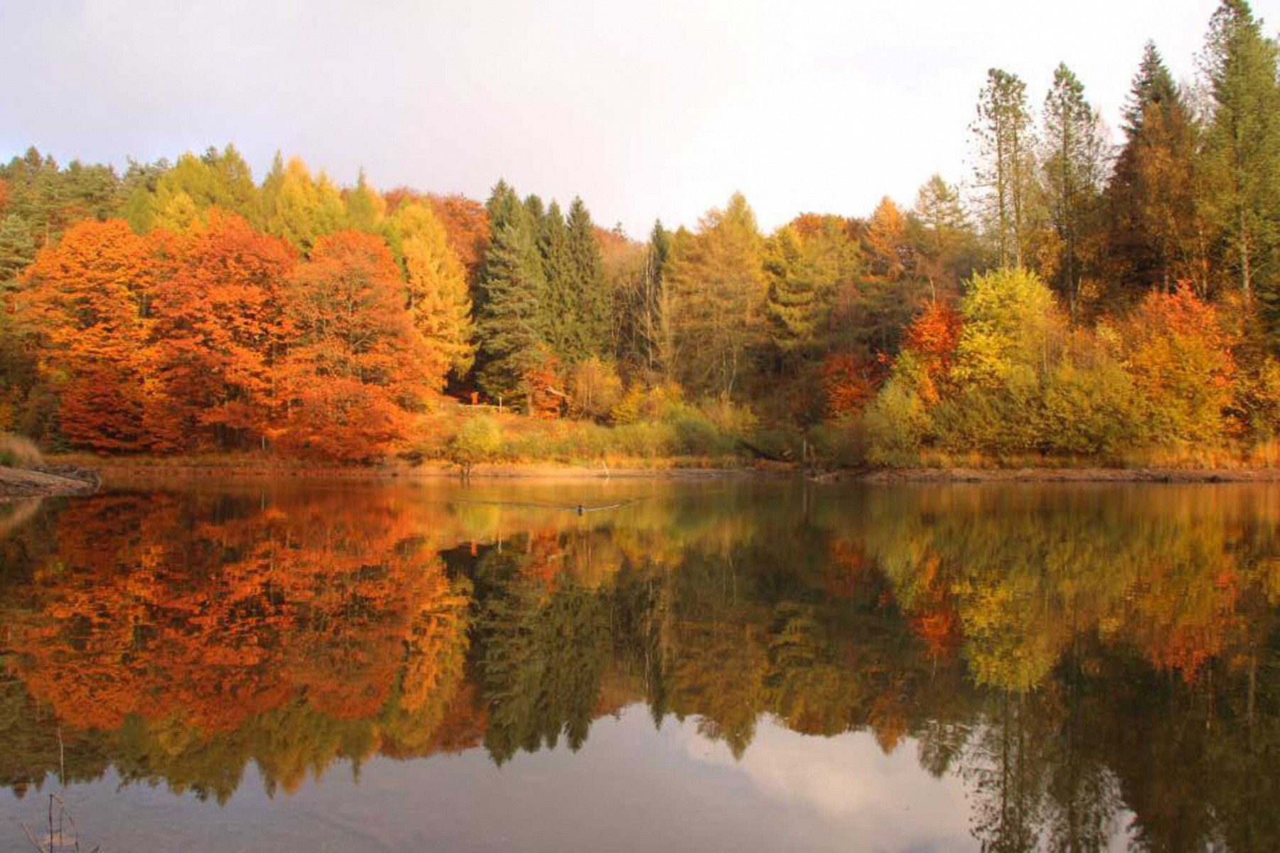 pspan-stylecolornullspan-stylefont-familyTimes-New-RomanTimesserifWir-haben-auf-unserer-Facebook-Seite-einen-Aufruf-gestartet-und-nach-euren-schoumlnsten-Herbstbildern-gefragtnbspDaraus-entstanden-ist-diese-Bildstrecke-zum-quotIndian-Summer-in-Deutschlandquotspanspanppspan-stylecolornullspan-stylefont-familyTimes-New-RomanTimesserifDas-Titelbild-ist-vonnbspStefanie-Jaklinnbspaufgenommen-an-der-Talsperre-Ronsdorf-bei-Wuppertalspanspanp