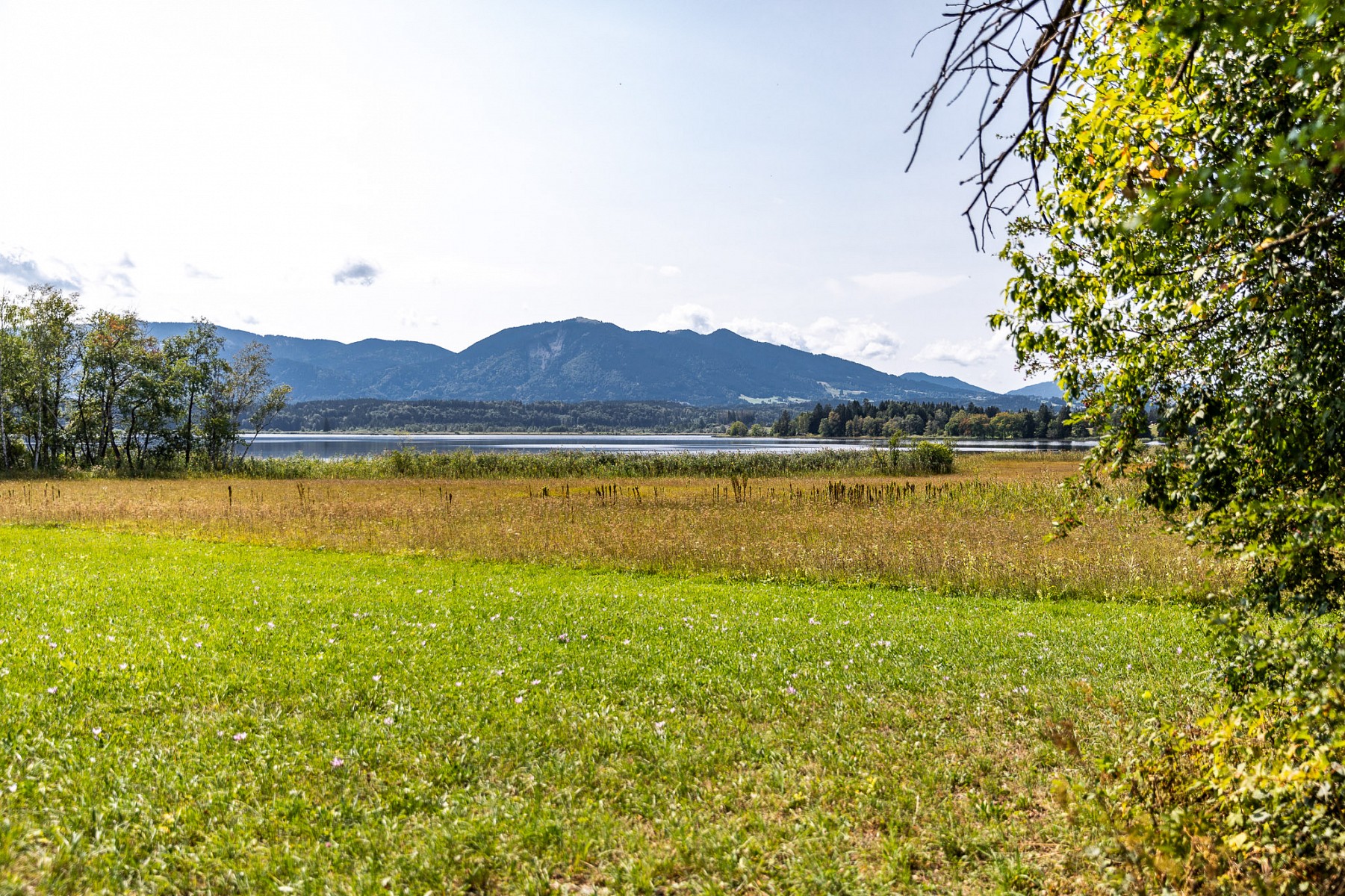 pWir-wandern-um-den-Staffelsee-und-naumlhern-uns-Murnau-dem-vorherigen-Ausgangspunkt-des-Spitzenwanderwegesp