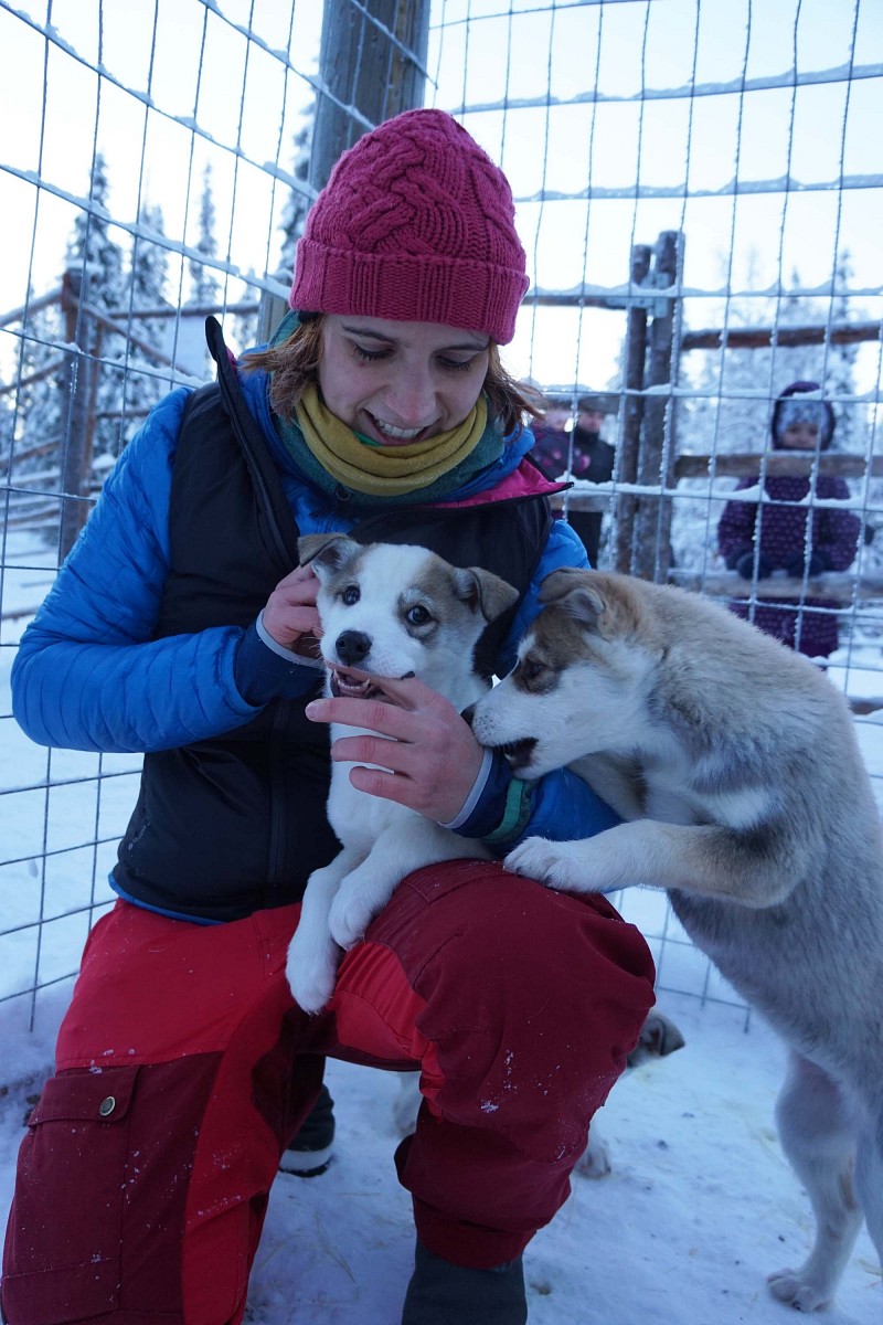 pNach-der-Rundfahrt-mit-den-Vierbeinern-wirdnbspdas-Ereignis-nur-noch-durch-das-Spielen-mit-den-Huskypuppies-getopptp
