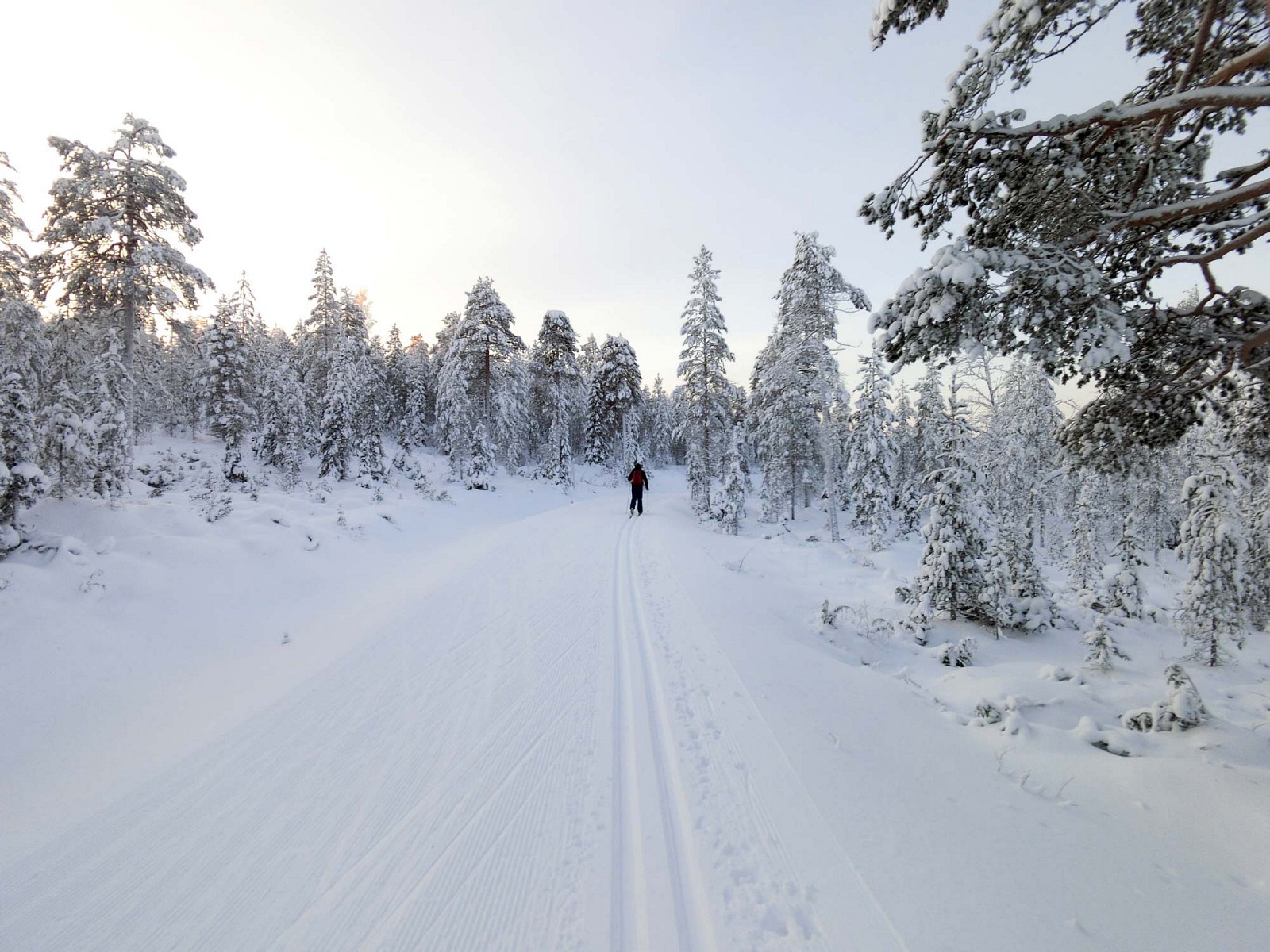 pAm-kaumlltesten-Tag-wagt-Hanna-sich-bei-unter--20degCnbspauf-die-duumlnnen-Skier-doch-beim-Langlauf-in-der-Loipe-wird-es-dann-ziemlich-schnell-warm-und-so-wirdnbspdie-einsame-Gegend-rund-um-das-Skigebiet-Ruka-erkundetp